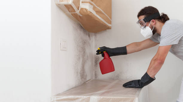 Professional Attic Mold Remediation technician working in Columbia, KY