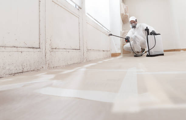 24/7 Emergency Attic Mold Remediation experts in Columbia, KY