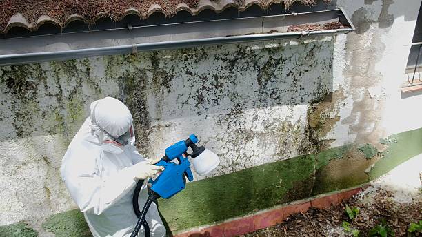 Top rated local Attic Mold Remediation specialists in Columbia, KY